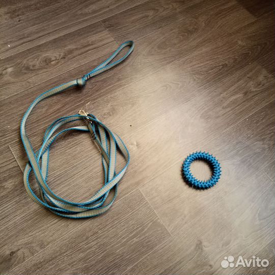 Поводок для собак