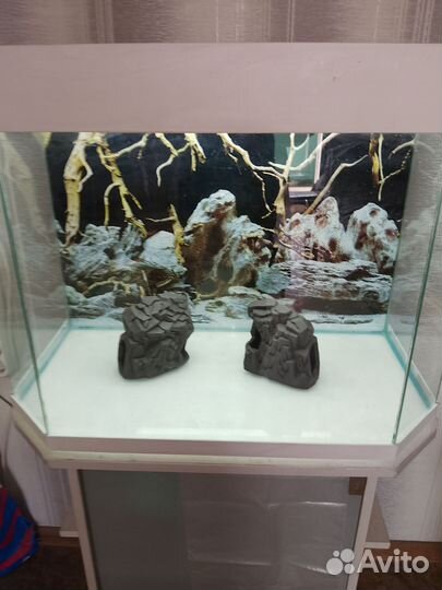 Аквариум