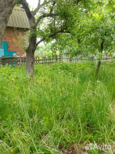 Уборка дачных участков