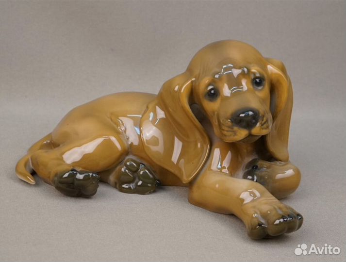 Щенок такса Германия