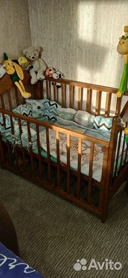 Отдам бесплатно