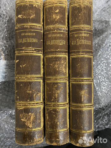 Достоевский Ф.М. 1882 год