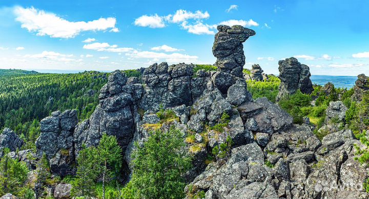 19.авг.23 Автобусный Тур 