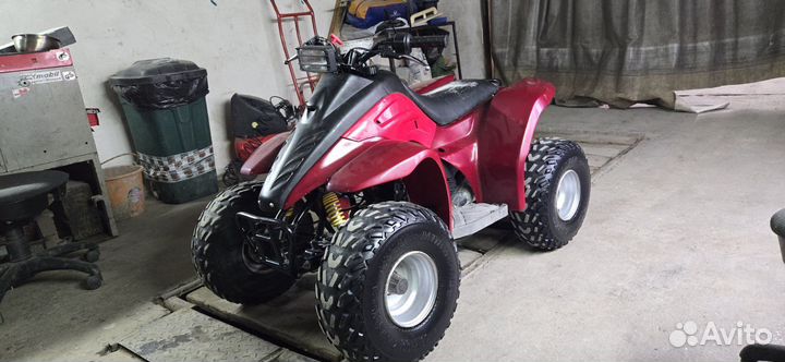 Hyousong 100r