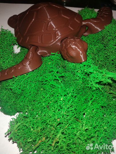 Черепаха водоплавающая