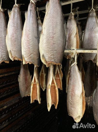 Форель холодного копчения