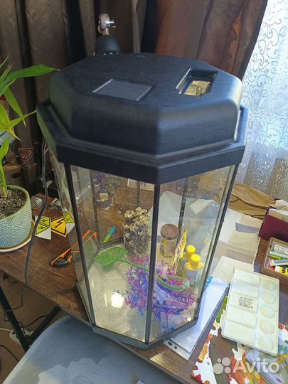 Аквариум в комплекте