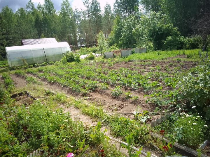 Дача 44 м² на участке 6,3 сот.