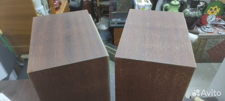 Акустическая система колонки маяк 10ас 318