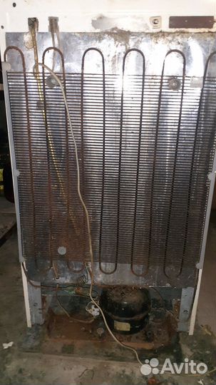 Холодильник Смоленск