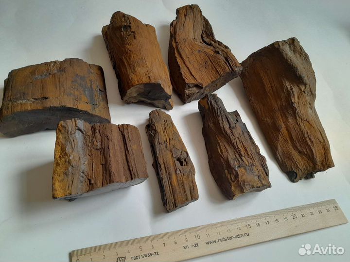 Окаменелое дерево