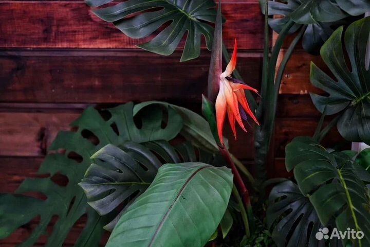 Требуется официант