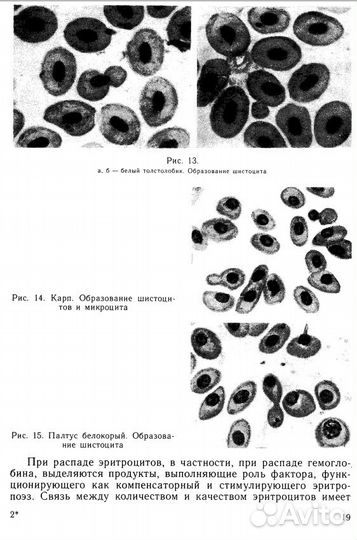 Атлас нормальных и патологически измененных клеток