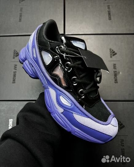 Raf simons ozweego 3 purple