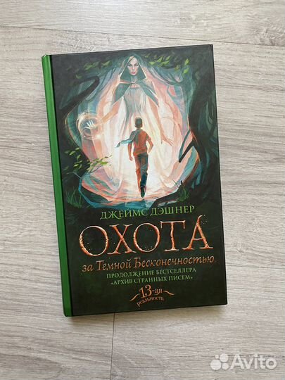 Джеймс Дэшнер Охота за бесконечностью