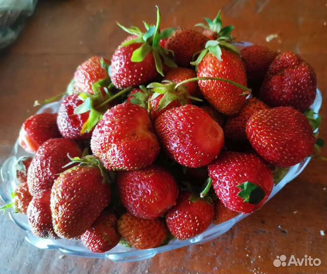 Клубника усы