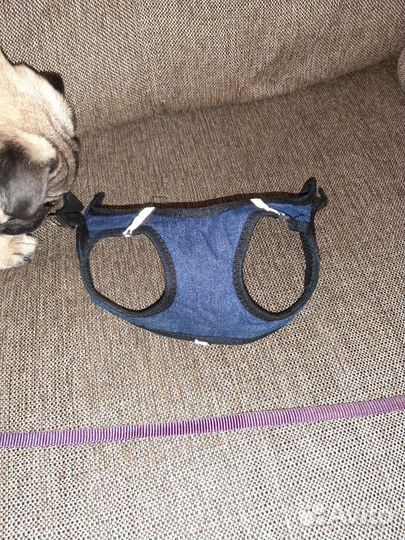 Поводок и шлейка для собаки