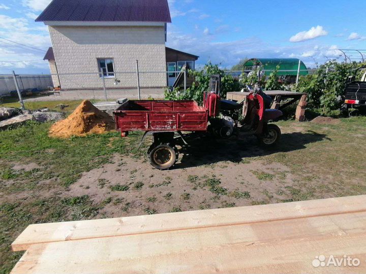 Муравей