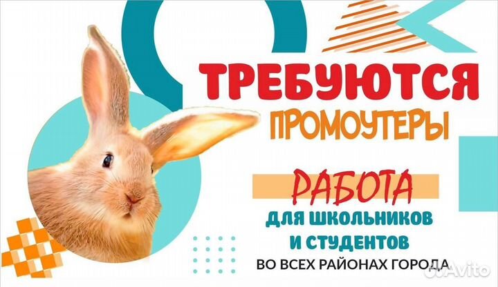 Требуются Промоутеры