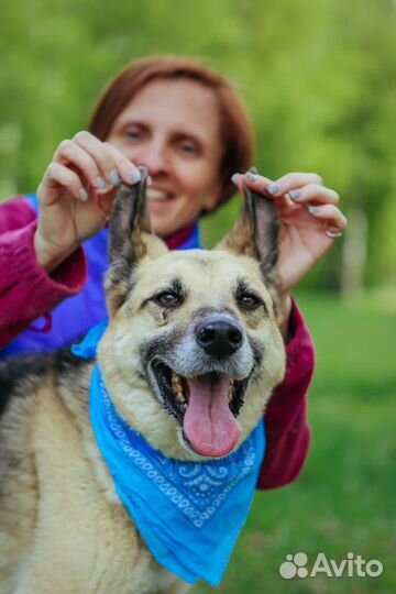 Долго мне не прожить в приюте
