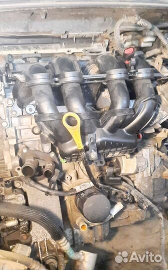 Двигатель Ford Focus 1,6 105лс