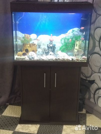 Аквариум с тумбой 100 литров