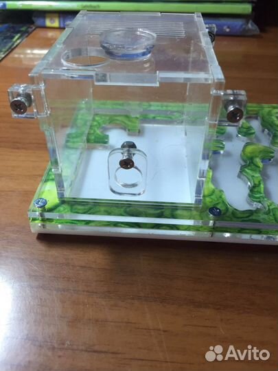 Муравьиная ферма без муравьев