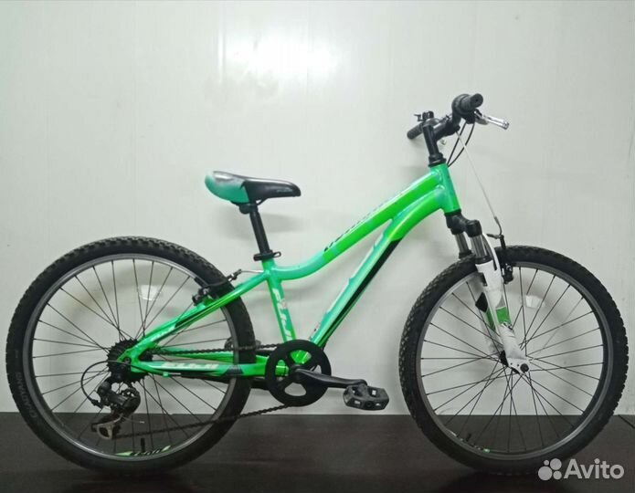 Fuji Dynamite 24