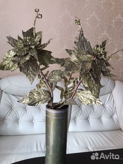 Декоративные цветы