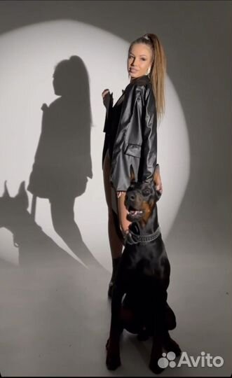 Фотосессия с доберманом