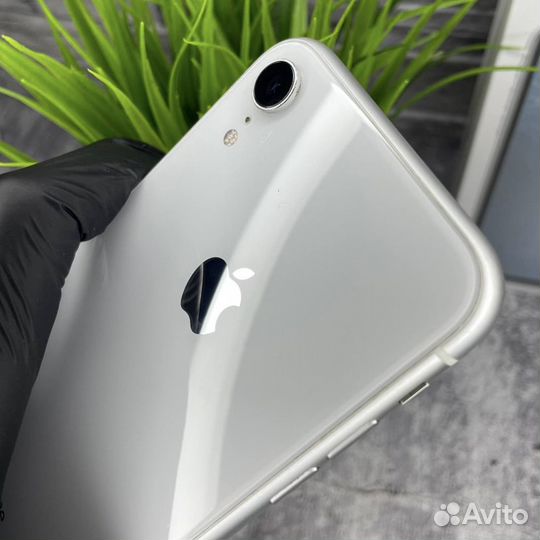 iPhone Xr, 128 ГБ