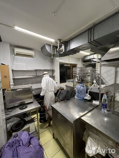 Уничтожение тараканов клопов блох мышей плесени