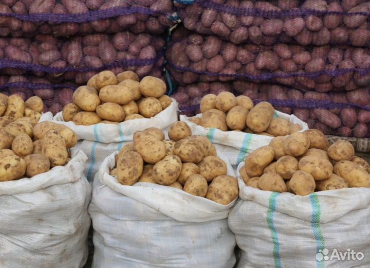 Картофель с доставкой на дом