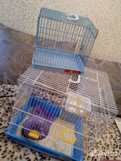 Клетка для хомяка бу