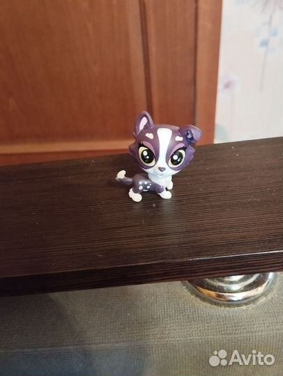 Littlest Pet Shop