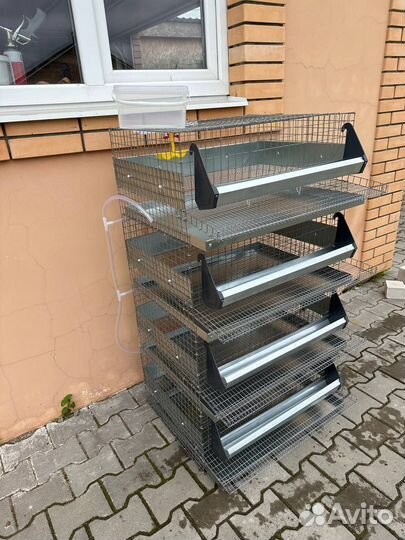 Клетка для перепелов 4 яруса