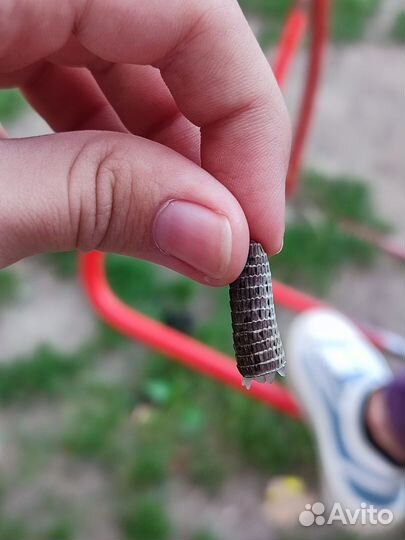 Хвост ящерицы