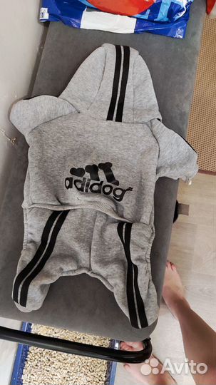 Костюм для маленькой собачки/одежда для собаки