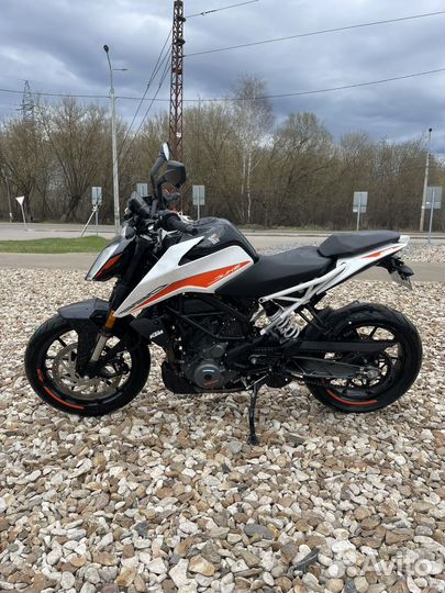 KTM duke 390 2022