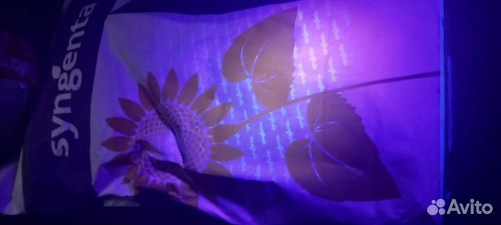 Семена подсолнечника Сумико, Сузука под экспресс