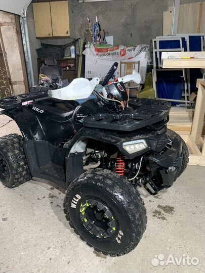 Motoland wild 125