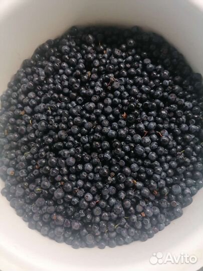 Черника свежая