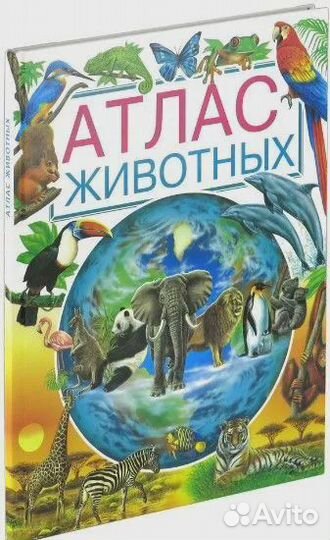 Атлас животных Камбурнак Лора