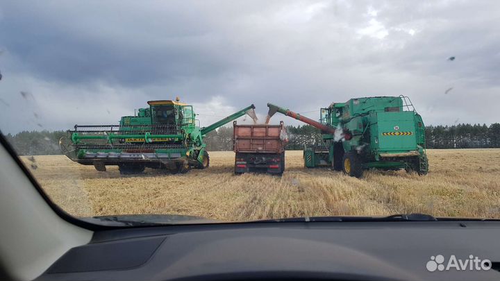 Пшеница, ячмень, овес