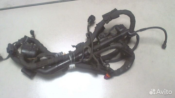 Электропроводка Skoda SuperB, 2011