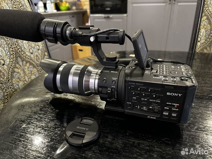 Sony NEX FS 100 P