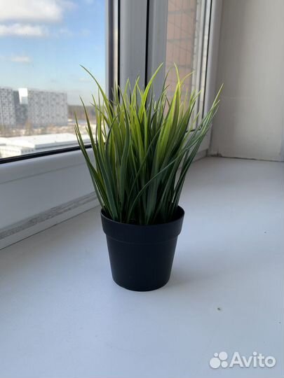 Искусственное растение IKEA