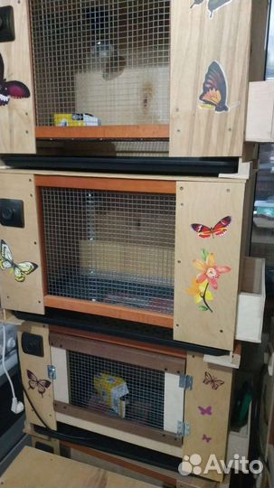 Супер брудер