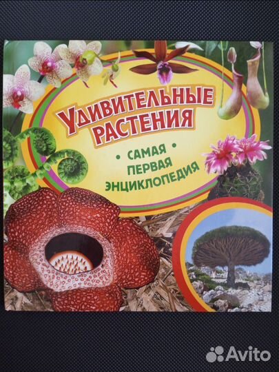 Набор книг самая первая энциклопедия