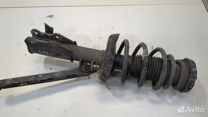 Амортизатор подвески Opel Insignia, 2016